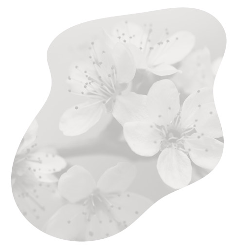 Support and Guidance Through Life's Changes